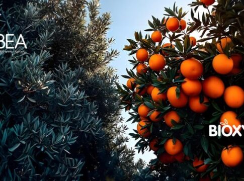 ΑΒΕΑ – ΒΙΟΧΥΜ : Συγχώνευση με νέες προοπτικές