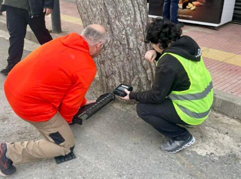 Έλεγχοι ασφάλειας δέντρων στον Δήμο Χερσονήσου