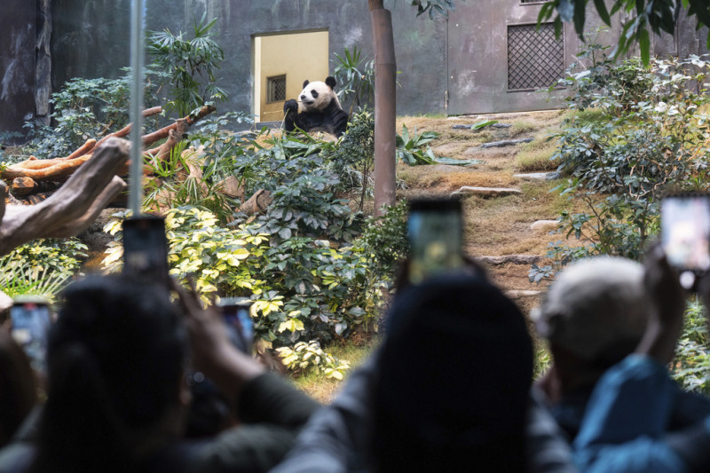 Η Κίνα είναι πιο ερωτευμένη με τα πάντα από ποτέ - Και αυτό προκαλεί «πονοκέφαλο» στο Πεκίνο