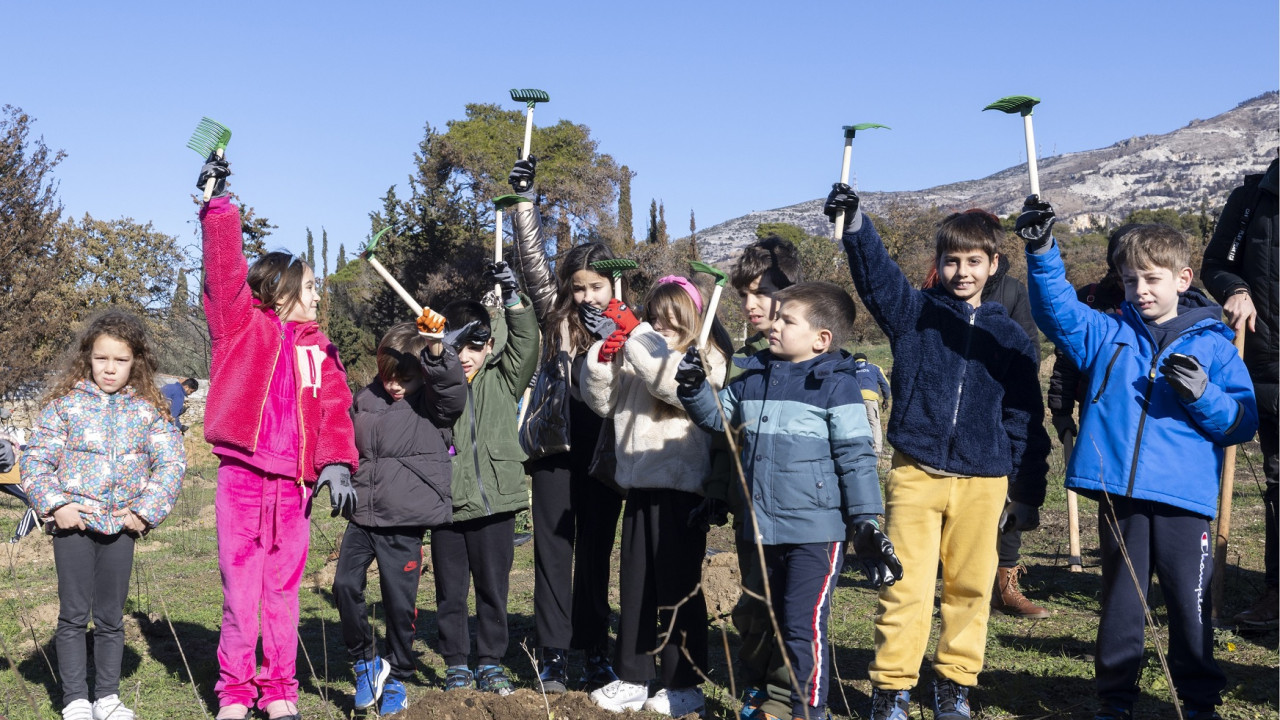 Ιερά Μονή Πεντέλης: Εθελοντική αναδάσωση από τους εργαζομένους της Nova