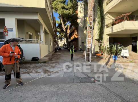 Ηράκλειο: Aπό πεύκα στο Μασταμπά ξεκίνησε τους ελέγχους το Παρατηρητήριο Αστικού Πρασίνου Κρήτης