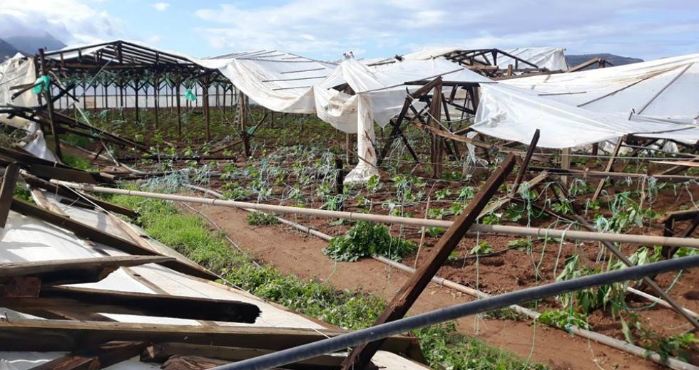 Καταγραφή ζημιών στις επιχειρήσεις από τον ανεμοστρόβιλο της 24ης Δεκεμβρίου 2024 στην ευρύτερη περιοχή του Δήμου Φαιστού