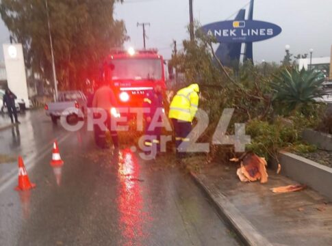 Κρήτη: Δέντρο έπεσε στη μέση του δρόμου