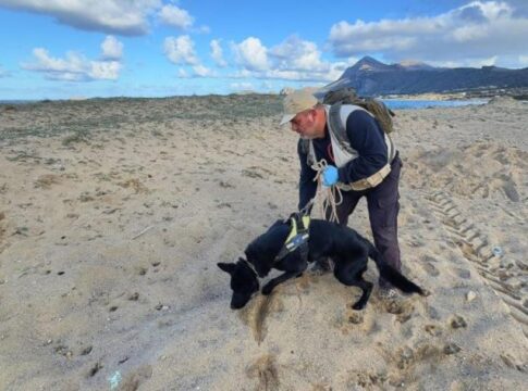 Κρήτη: Έριξαν φόλες σε παραλία και πέθαναν τέσσερα σκυλιά (εικόνες – βίντεο)