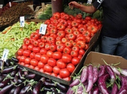 Προσωρινά αποτελέσματα για άδειες λαϊκών αγορών στην Κρήτη