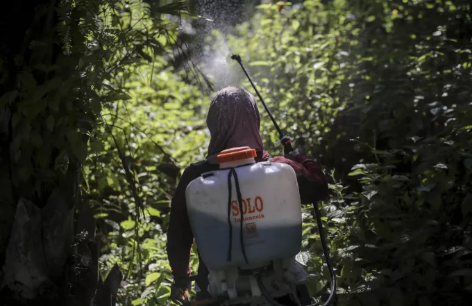 Θεσσαλονίκη: Περισσότερα από 260 είδη ζιζανίων εμφανίζουν ανθεκτικότητα στα ζιζανιοκτόνα