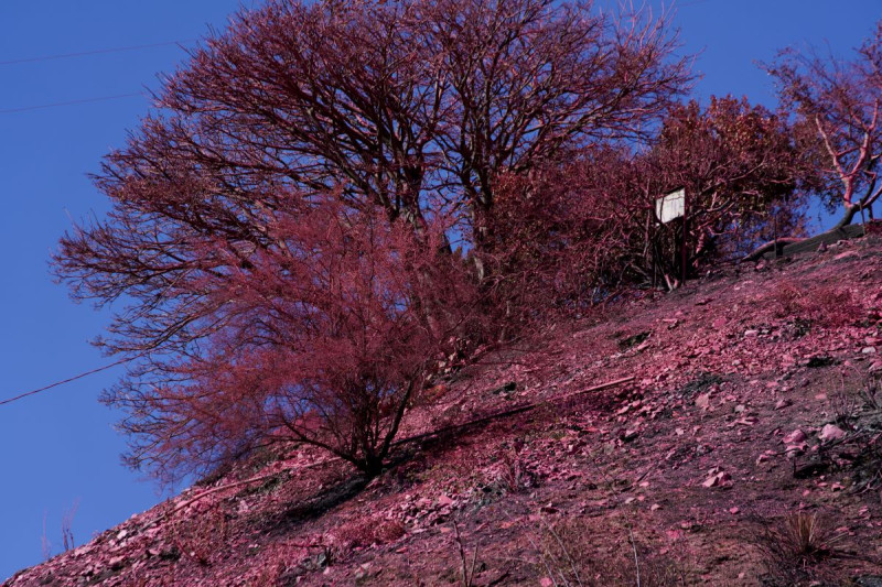 Λος Άντζελες