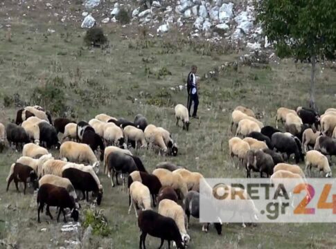 Βγαίνουν στους δρόμους οι κτηνοτρόφοι της Κρήτης