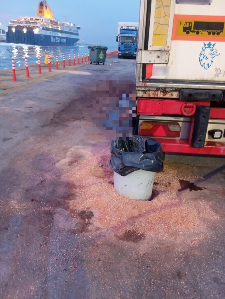 Βρήκαν 20 τόνους χαλασμένο κρέας σε εγκαταλειμμένο στον Πειραιά φορτηγό από τα Χανιά (photos)