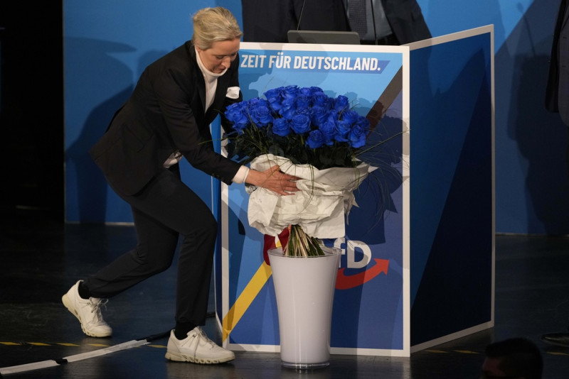 Άλις Βάιντελ