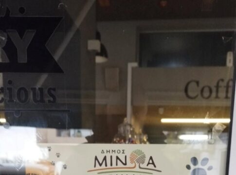 Εκστρατεία ενημέρωσης και ευαισθητοποίησης από το Δήμο Μινώα Πεδιάδας και το Zero Stray Pawject για τις δωρεάν μαζικές στειρώσεις ζώων