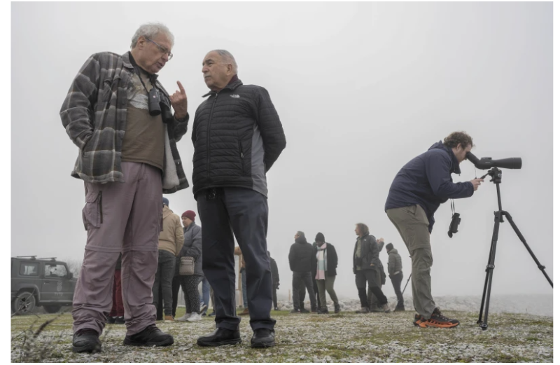 κουκουβάγια 