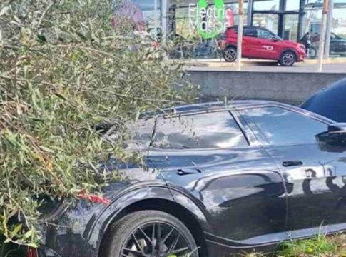 Κρήτη: Αυτοκίνητο έπεσε σε χωράφι (εικόνες)