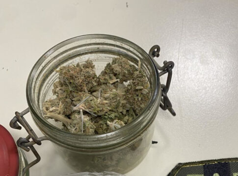 Κρήτη: Δύο συλλήψεις για το βάζο με την… κάνναβη