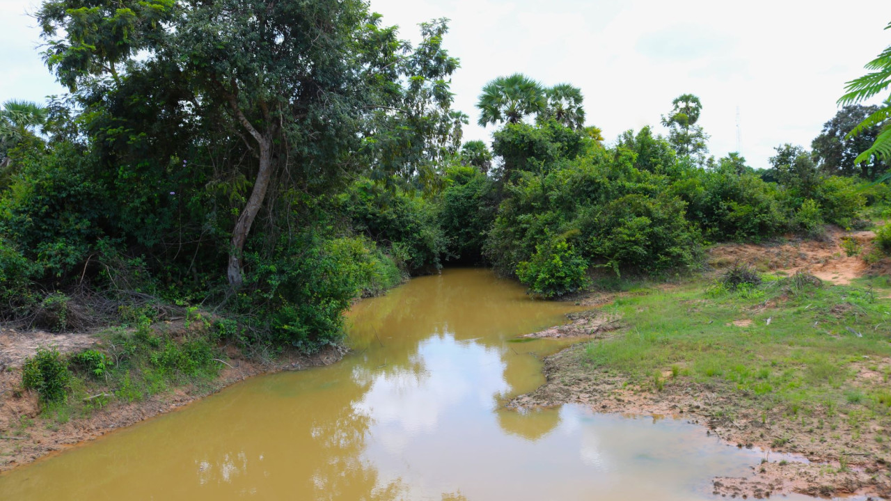Τα επιφανειακά ύδατα στην Ευρώπη βρίσκονται σε «κρίσιμη» υγειονομική κατάσταση