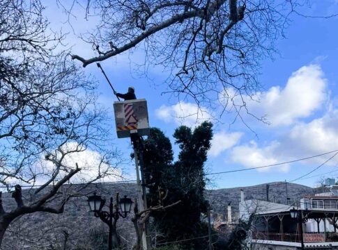 Τις δράσεις προστασίας του μνημειακού πλατάνου στο Κράσι συνεχίζει ο Δήμος Χερσονήσου