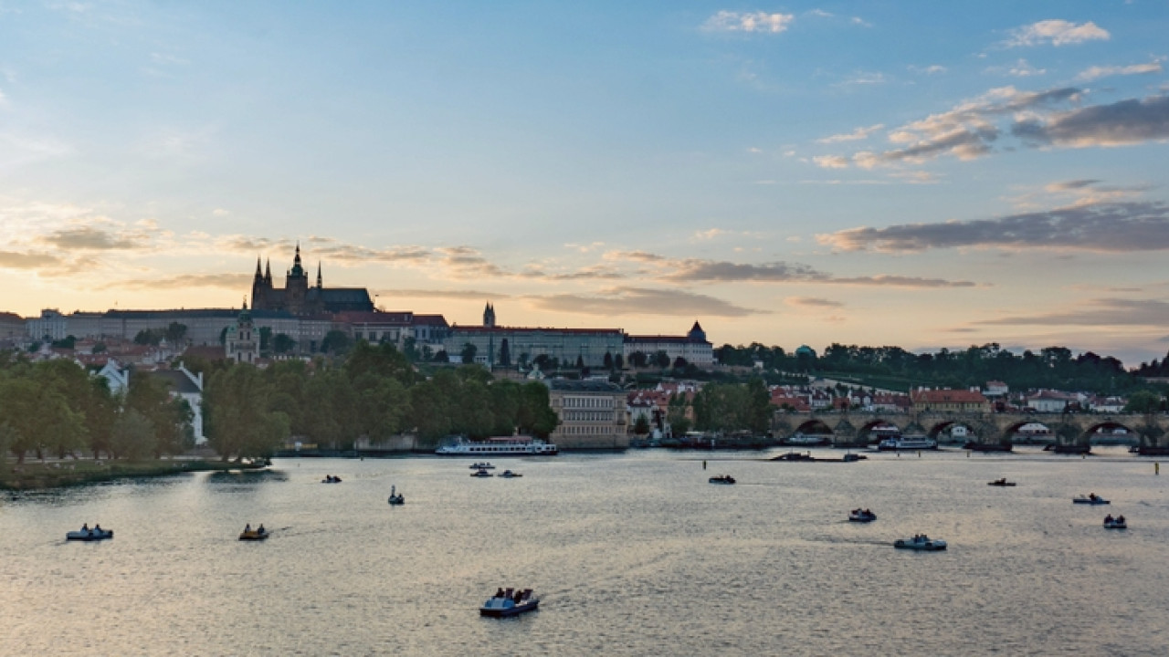 Τσεχία: Κάστορες... κατασκεύασαν φράγμα που σχεδιαζόταν για χρόνια