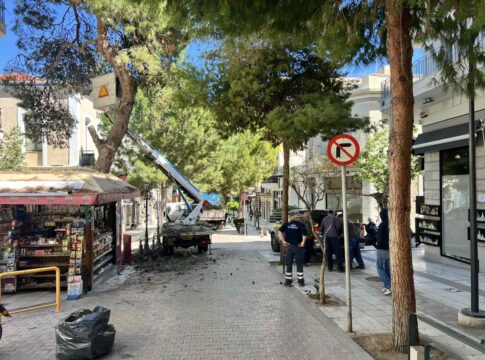 Απομακρύνθηκε επικίνδυνο δέντρο στην οδό Ρούσσου Κούνδουρου στον Αγιο Νικόλαο
