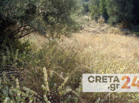 Δ. Φαιστού | Έως 30 Απριλίου η προθεσμία για τον καθαρισμό οικοπέδων
