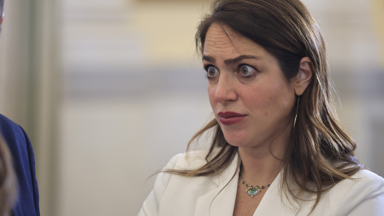 Δόμνα Μιχαηλίδου: Επανεκκίνηση του Εθνικού Συμβουλίου Αναδοχής και Υιοθεσίας - Οι 5 προτεραιότητες