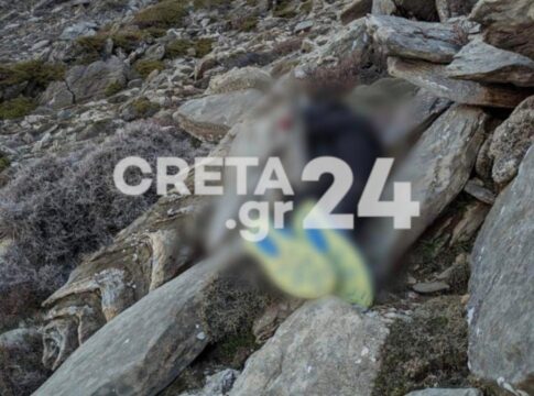 Εδώ βρέθηκε νεκρός ο 21χρονος – «Φως» στα αίτια θανάτου από την ιατροδικαστική εξέταση