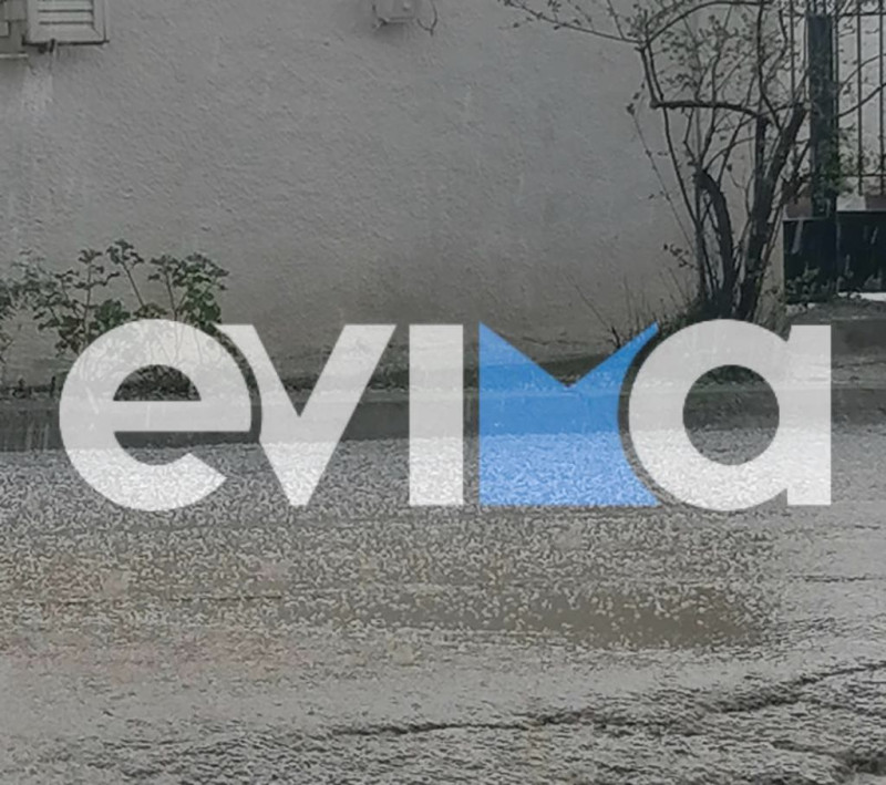 Εύβοια: Έπεσε χαλάζι σε μέγεθος καρυδιού – Ζημιές σε καλλιέργειες