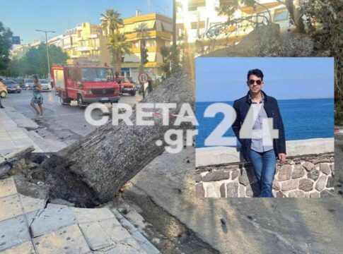 Φονική πτώση δέντρου στο Ηράκλειο: 385.000 ευρώ αποζημίωση στην οικογένεια του αδικοχαμένου Παναγιώτη