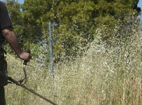 Καθαρισμός οικοπεδικών και λοιπών ακάλυπτων χώρων στον Δήμο Αγίου Νικολάου 1η Μαϊου ξεκινά η αντιπυρική περίοδος 2025
