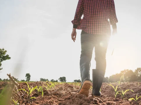 Κοινή ερώτηση Φραγκίσκου Παρασύρη και Μανώλη Χνάρη για τους αγρότες της Κρήτης