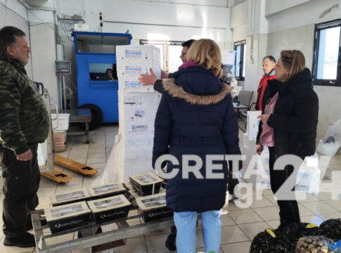 Κρήτη: «Πέρασαν» τον έλεγχο τα θαλασσινά για την Καθαρά Δευτέρα – Οδηγίες προς τους καταναλωτές