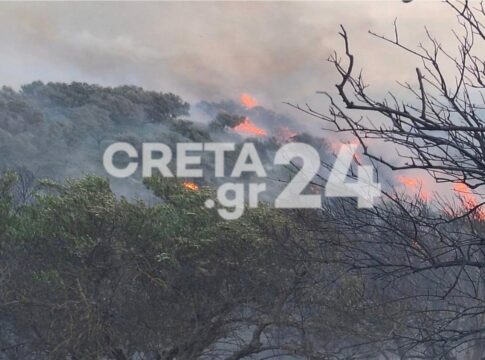 Μεγάλη κινητοποίηση από όλη την Κρήτη για την πυρκαγιά στα Χανιά – «Οι ενισχυμένοι άνεμοι μας δυσκολεύουν πολύ»