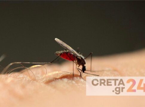 Ρέθυμνο: Συστάσεις για την αποφυγή των κουνουπιών