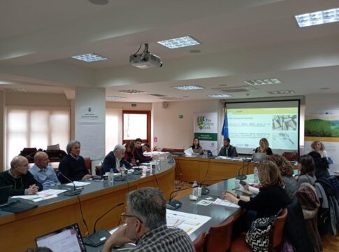 Συμμετοχή της Περιφέρειας Κρήτης σε συνάντηση εργασίας του έργου Interreg Euro-MED ARTEMIS για την αποκατάσταση λιβαδιών ποσειδωνίας στη Σητεία