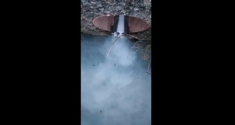 Xανιά | Έριξαν χρώματα στο ενετικό λιμάνι