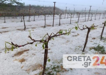 «Αμπέλια… είχαμε!» – Ολοκληρωτική καταστροφή στις καλλιέργειες από την σφοδρή χαλαζόπτωση στη Μεσαρά