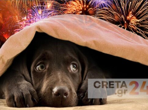 «Αυτό που γίνεται το Πάσχα με τα βεγγαλικά είναι φοβερό!» – Ο Μ. Σουρανάκης για το άγχος και τον πανικό των ζώων