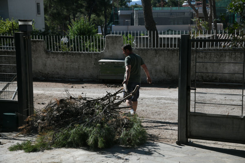 ακαθαριστα οικοπεδα