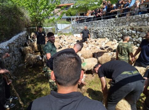 Αναβίωσε και φέτος το έθιμο της ευλογίας των προβάτων στην Ασή Γωνιά