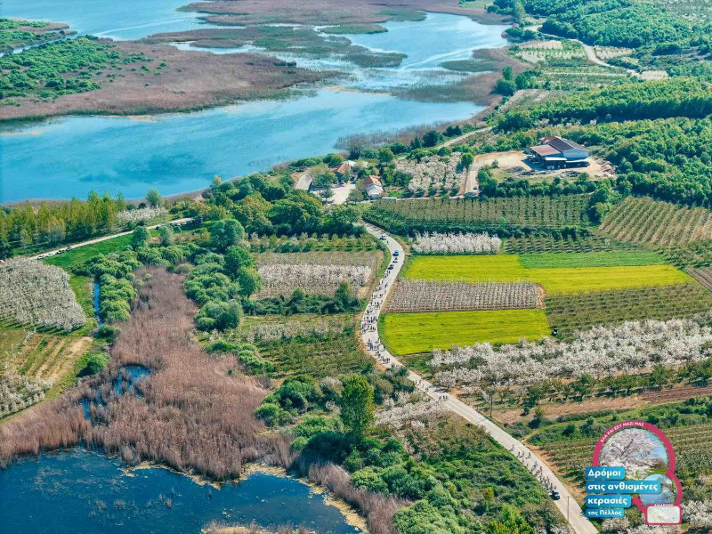 πελλα κερασιες