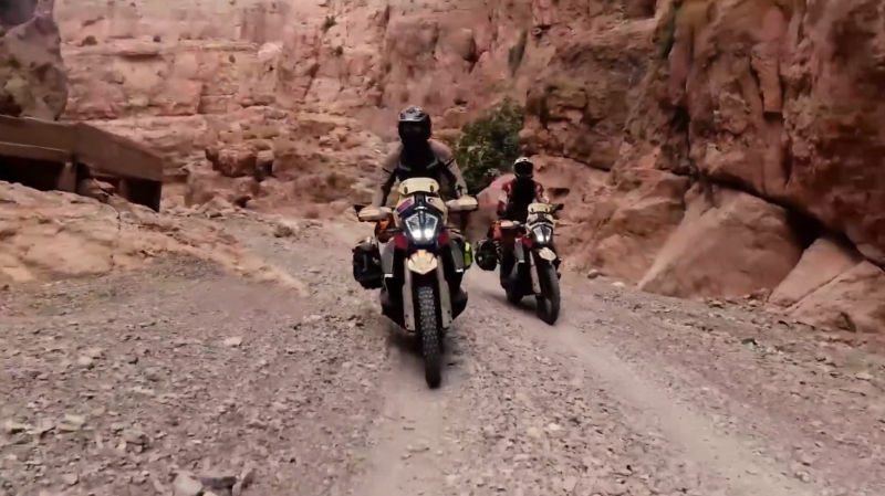 Μηχανοβιοι