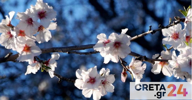 Καιρός | ‘Εως 23 βαθμούς η θερμοκρασία στην Κρήτη – Νέα «επίσκεψη» της αφρικανικής σκόνης