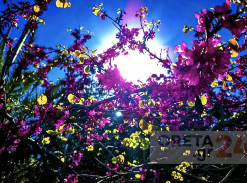 Κρήτη | Με τι καιρό θα κάνουμε Ανάσταση και Πάσχα – Η εξέλιξη μέχρι και τη Δευτέρα (κάρτες)