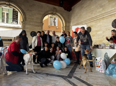 Μικροί και μεγάλοι στο αίθριο της Λότζια για τις δράσεις για την Παγκόσμια Ημέρα Αδέσποτων Ζώων