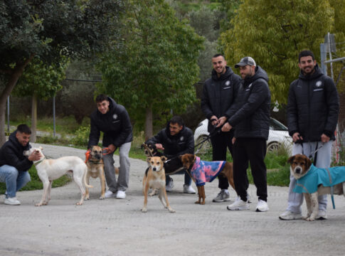 Παίκτες του ΟΦΗ βρέθηκαν στο Κυνοκομείο Ηρακλείου και έστειλαν ηχηρό μήνυμα για τις υιοθεσίες αδέσποτων