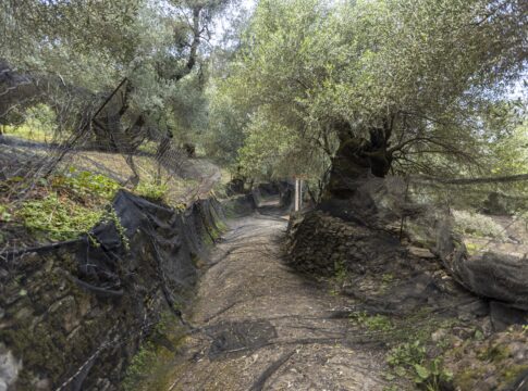 Περπατάμε στα μονοπάτια του δήμου Καντάνου – Σελίνου