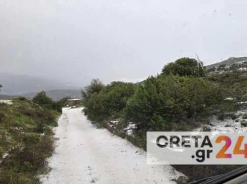 Σφοδρή χαλαζόπτωση στη Βιάννο – Π. Μπαριτάκης: Τα πράγματα για τους παραγωγούς είναι τραγικά – Χαμένη η φετινή χρονιά