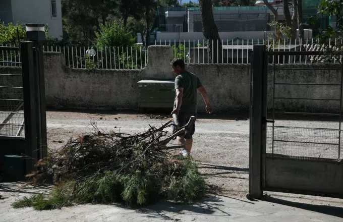 οικόπεδα