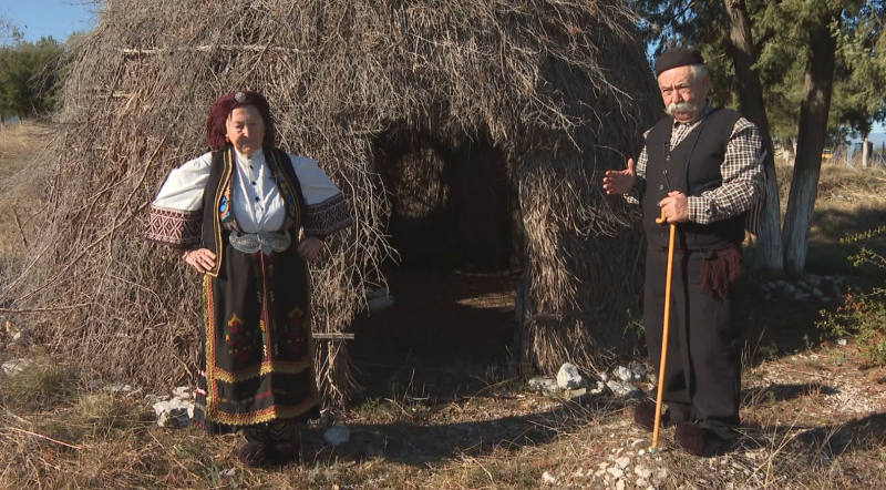 Βλάχοι και Σαρακατσάνοι