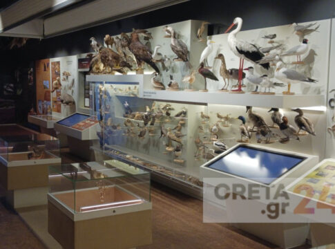 Ξεκινά η ανακαίνιση του Μουσείου Φυσικής Ιστορίας Κρήτης
