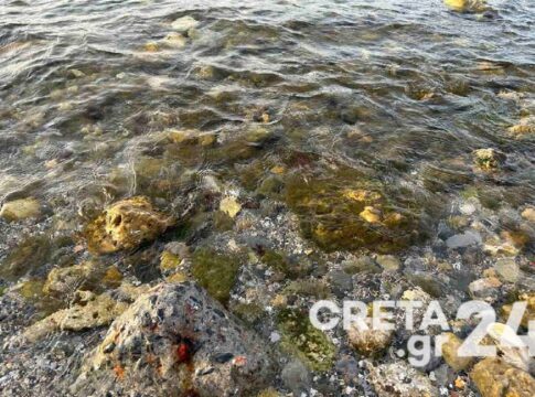 Αναβιώνει για άλλη μια χρονιά το έθιμο της Μαλλιαρής Πέτρας στον Καράβολα